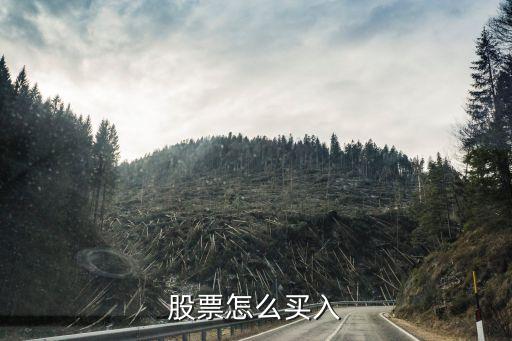 股票怎么买入