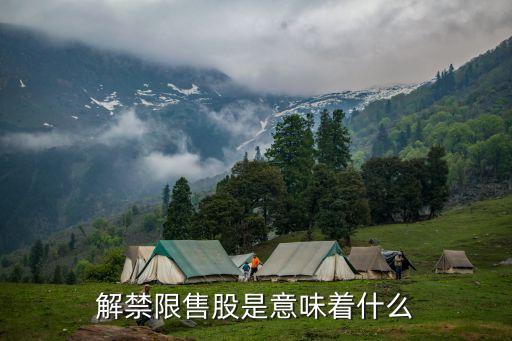 解禁限售股是意味着什么