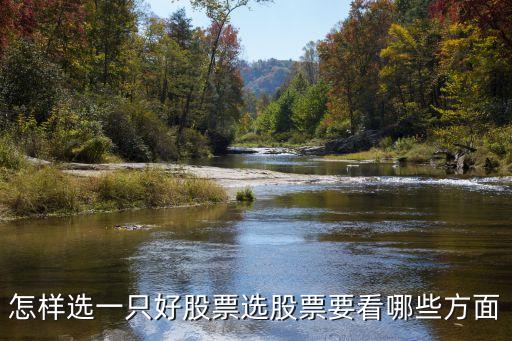 怎样选一只好股票选股票要看哪些方面