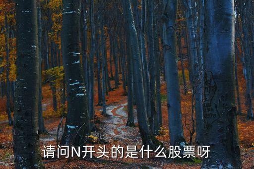 n侨源是什么股票，N开头的股票是什么股票是什么性质的