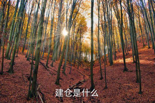 股票建仓什么，股市中什么叫建仓