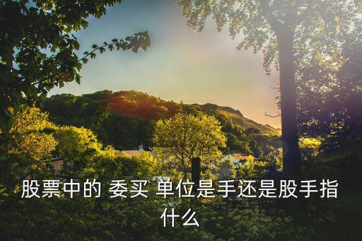 股票中的 委买 单位是手还是股手指什么