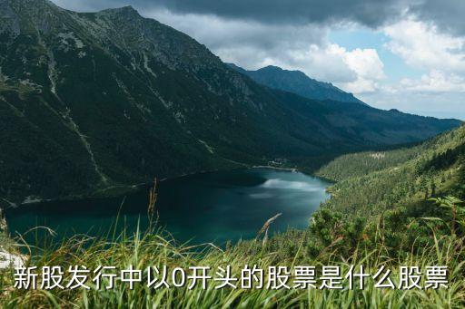 0开头的股票是什么股，0字头股票是什么
