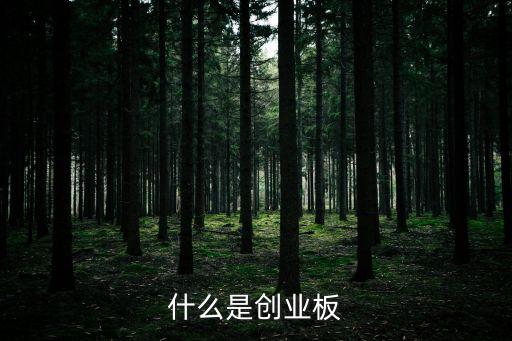 什么是创业板