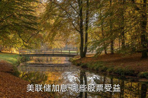美联储加息 哪些股票受益