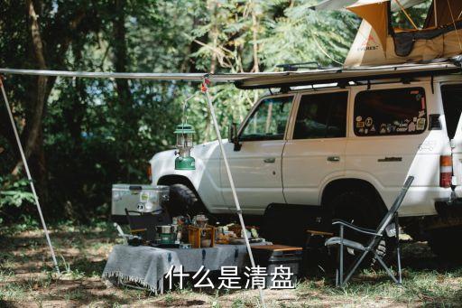什么是清盘