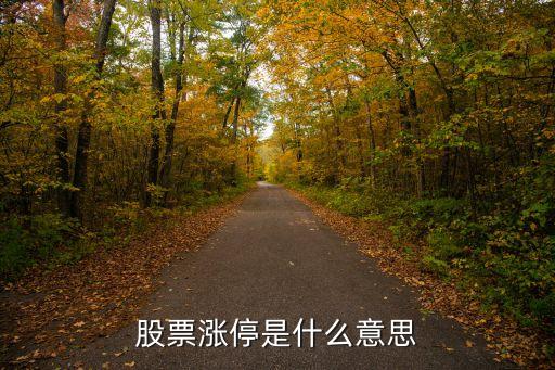 股票涨停是什么意思
