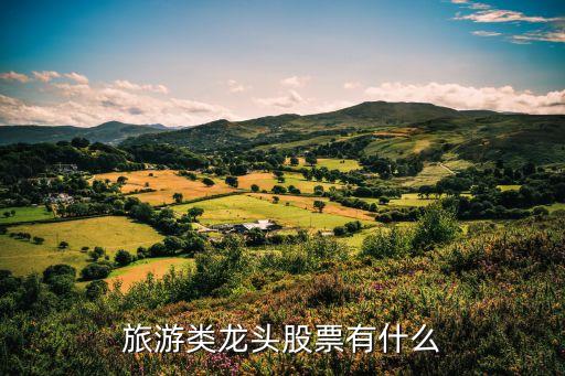 旅游类龙头股票有什么