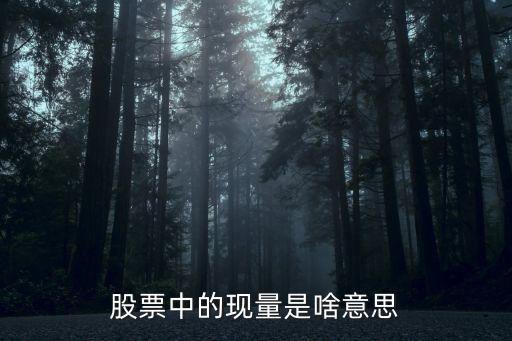 股票中的现量是啥意思