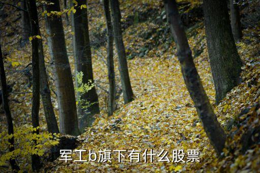 军工主机场有什么股票，军工b旗下有什么股票