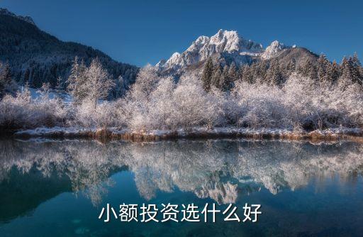 小额投资选什么好