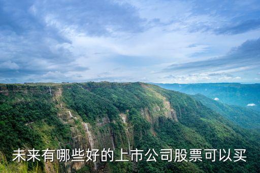 未来有哪些好的上市公司股票可以买
