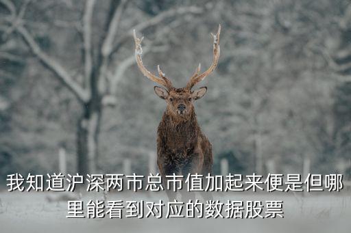 我知道沪深两市总市值加起来便是但哪里能看到对应的数据股票