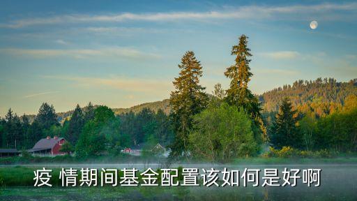 疫 情期间基金配置该如何是好啊