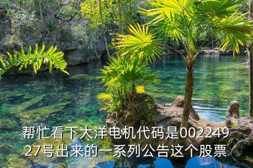 帮忙看下大洋电机代码是00224927号出来的一系列公告这个股票