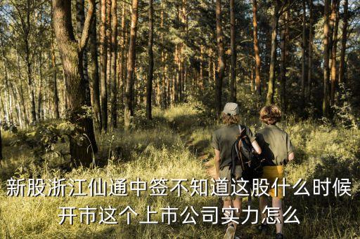新股浙江仙通中签不知道这股什么时候开市这个上市公司实力怎么