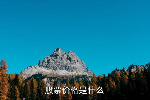 股票价格是什么