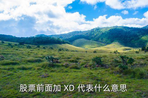股票前面加 XD 代表什么意思