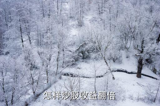 怎么快速涨收益股票，如何在股市里快速盈利