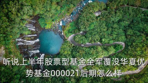 听说上半年股票型基金全军覆没华夏优势基金000021后期怎么样