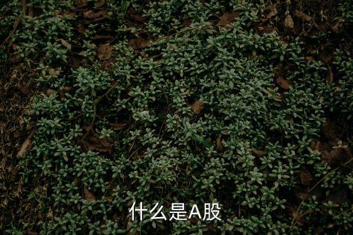 什么是A股
