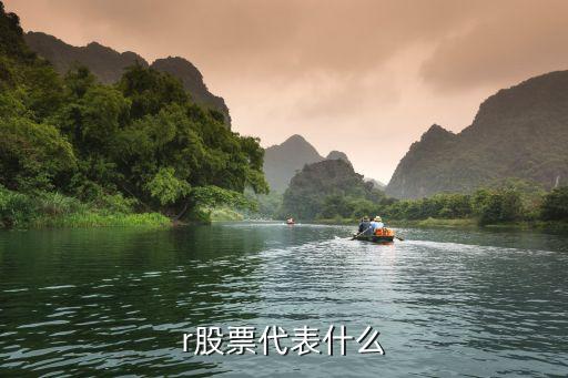 r股票代表什么