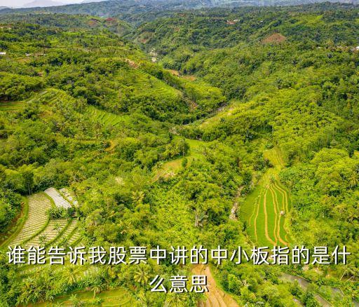 谁能告诉我股票中讲的中小板指的是什么意思