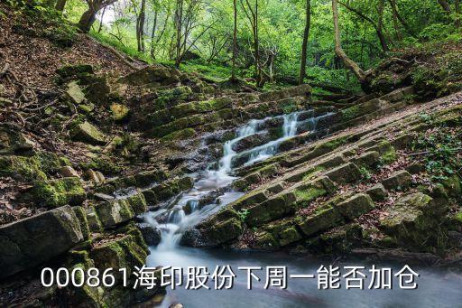 000861海印股份下周一能否加仓