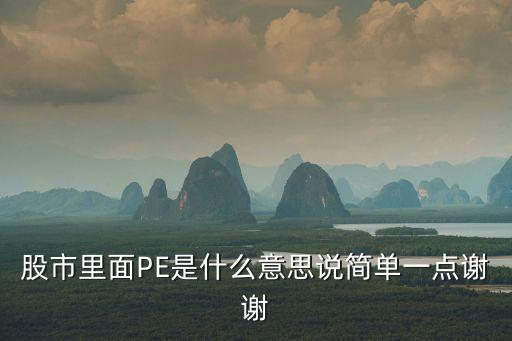 股票pe是指什么意思啊，股市的PE代表什么