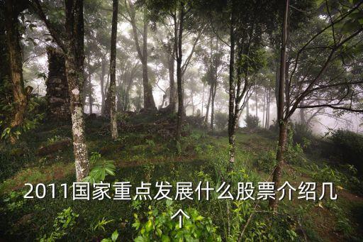 2011国家重点发展什么股票介绍几个