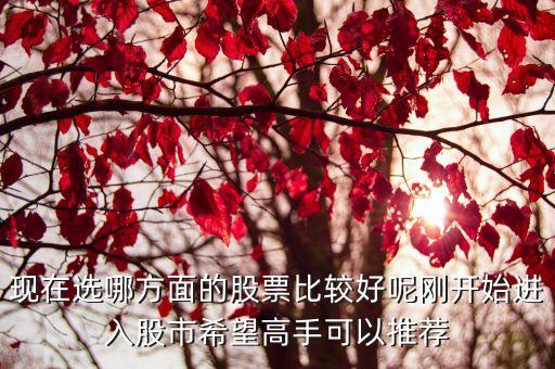 现在选哪方面的股票比较好呢刚开始进入股市希望高手可以推荐