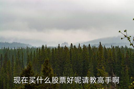 股票现在买什么股票好，现在股票买什么股好