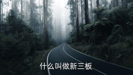 什么叫做新三板