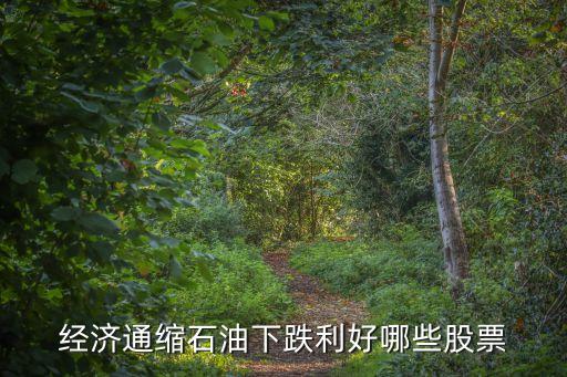经济通缩石油下跌利好哪些股票