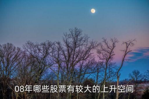 08年哪些股票有较大的上升空间