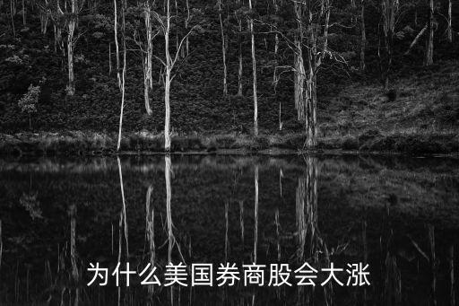 为什么美国券商股会大涨