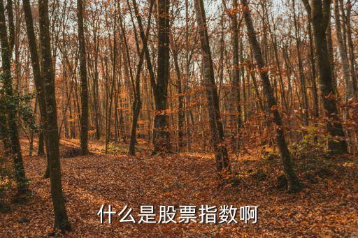 什么是股票指数啊