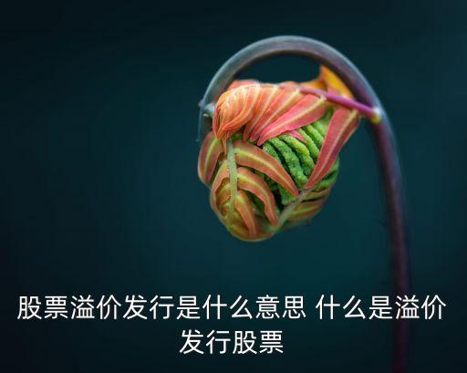 什么是溢价发行股票，什么是溢价发行