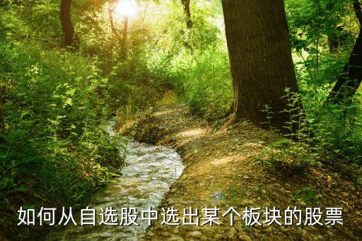 如何从自选股中选出某个板块的股票