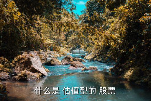 什么是提估值股票，什么是 估值型的 股票
