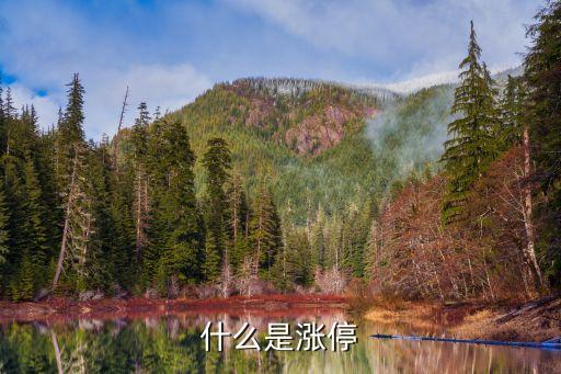 什么是涨停