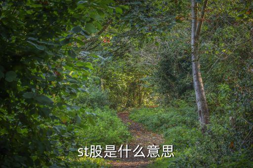 股票st什么，st股票是什么意思