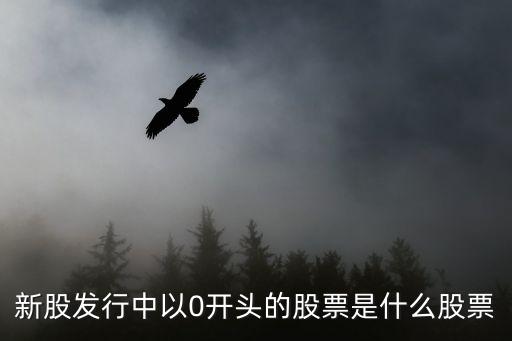 新股发行中以0开头的股票是什么股票