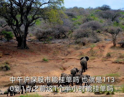 为什么股票中午可以挂单，中午沪深股市能挂单吗 也就是1130到1点之前这1个半小时能挂单吗
