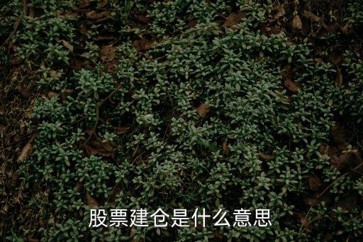 建仓股票是什么意思，建仓股票是什么意思