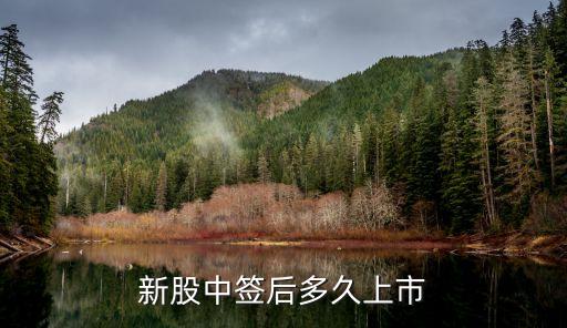 新股中签后多久上市
