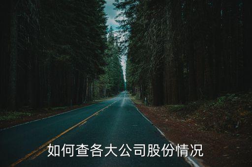 如何查各大公司股份情况