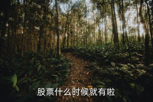 股票什么时候就有啦