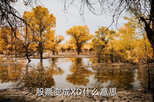 股票变成XD什么意思