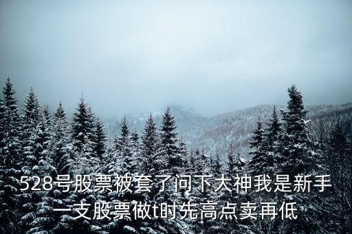 股票套在高点是什么感受，528号股票被套了问下大神我是新手一支股票做t时先高点卖再低